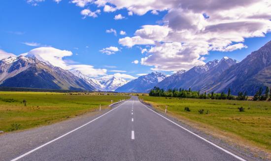 道路綠化行業發展現狀及發展趨勢分析2024